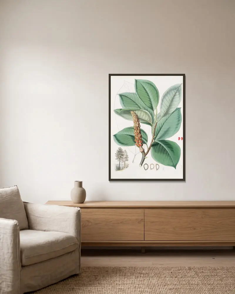 Magnolia Campbellii, H.f. et T. (fruchttragende Pflanze im Blattwerk), 1855 – Nr. 2 von Walter Hood Fitch gerahmt an einer Wand