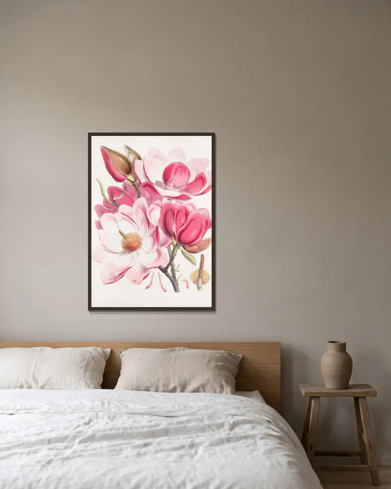 Magnolia Campbellii, H.f. et T. (Blommande växt), 1855 – nr 1 av Walter Hood Fitch inramad på en vägg