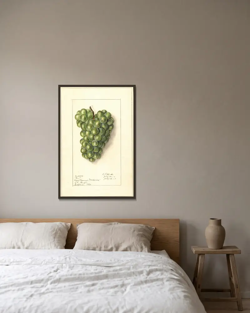 Vitis, 1911 – Nr. 1 von Ellen Isham Schutt gerahmt an einer Wand