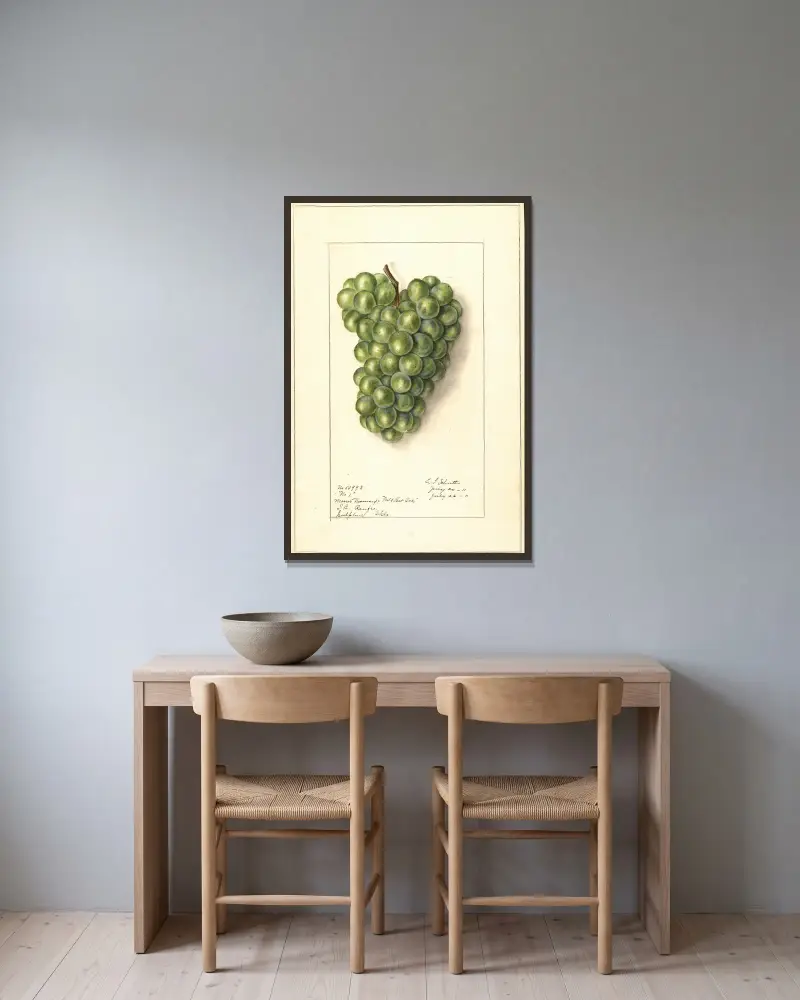 Vitis, 1911 – Nr. 1 von Ellen Isham Schutt gerahmt an einer Wand