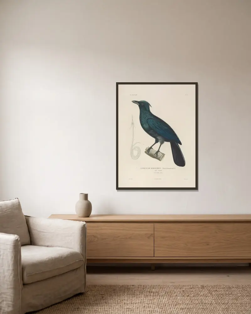 Voyage autour du monde, plansch 116 av Louis-Isidore Duperrey inramad på en vägg