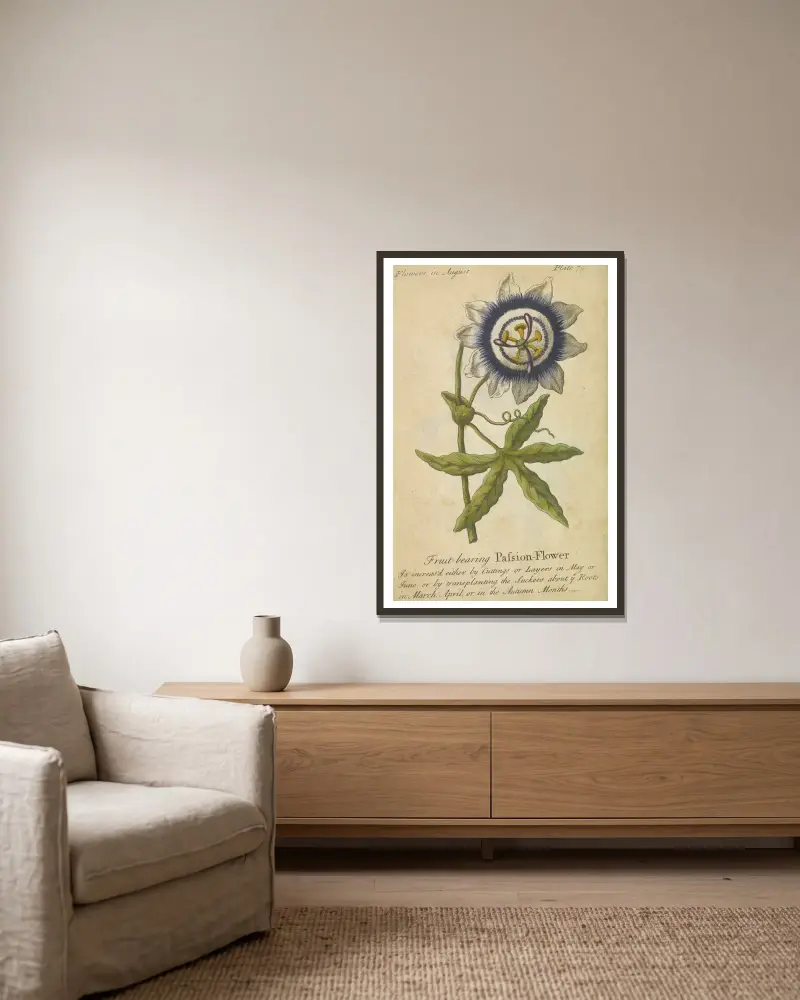 Fruit-bearing Passion Flower av J. Duke inramad på en vägg