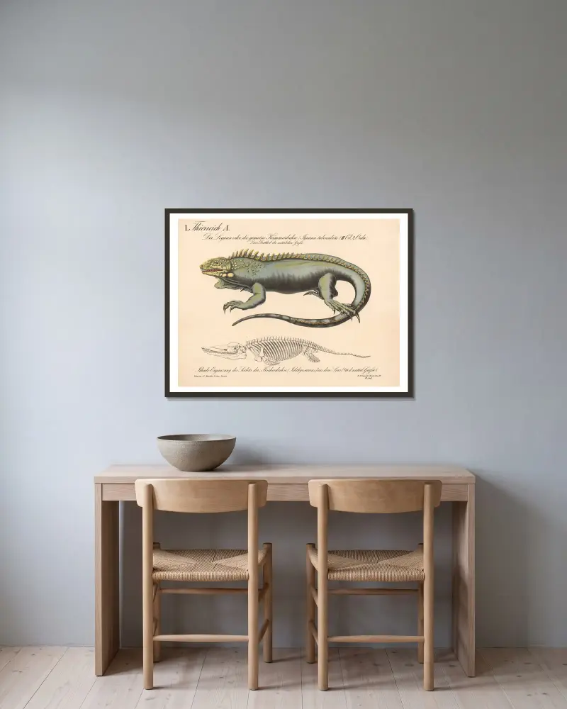 Der Leguan oder die gemeine Kammeidechse (Iguana tuberculata) av H.J. Ruprecht inramad på en vägg