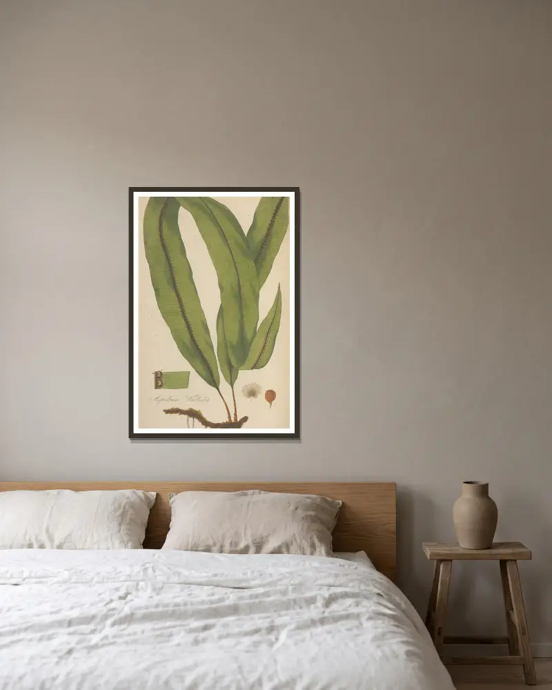 Aspidium Wallichii von William Jackson Hooker gerahmt an einer Wand