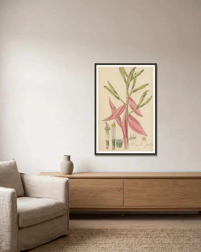 Bromelia pallida, 1823 – Nr. 1 von William Jackson Hooker gerahmt an einer Wand