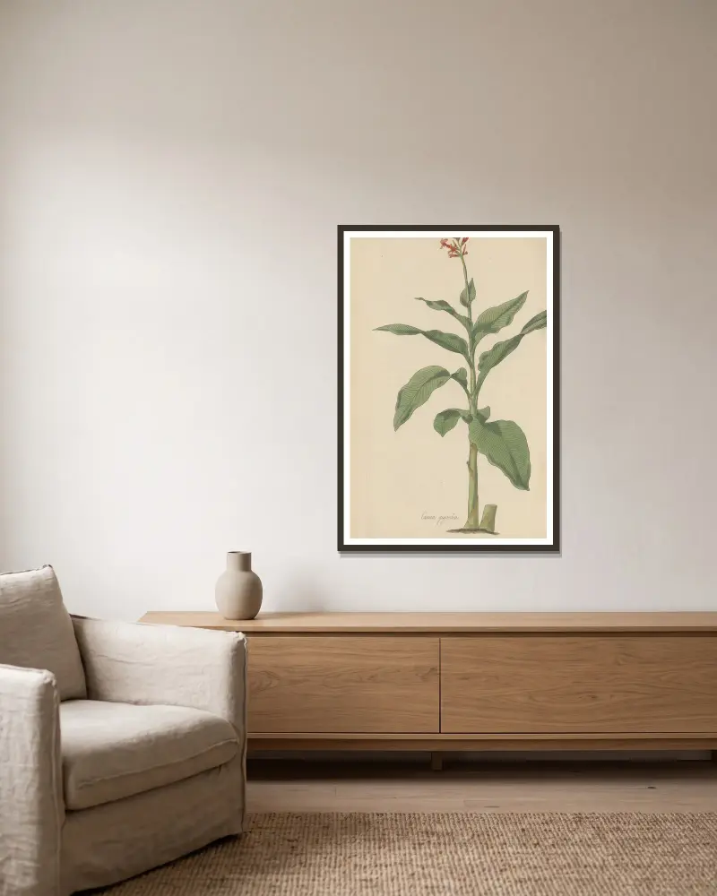Canna gigantea, 1823 – Nr. 2 von William Jackson Hooker gerahmt an einer Wand