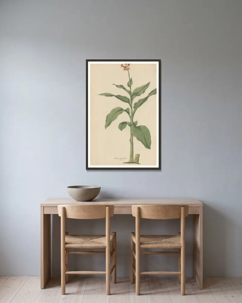 Canna gigantea, 1823 – Nr. 2 von William Jackson Hooker gerahmt an einer Wand