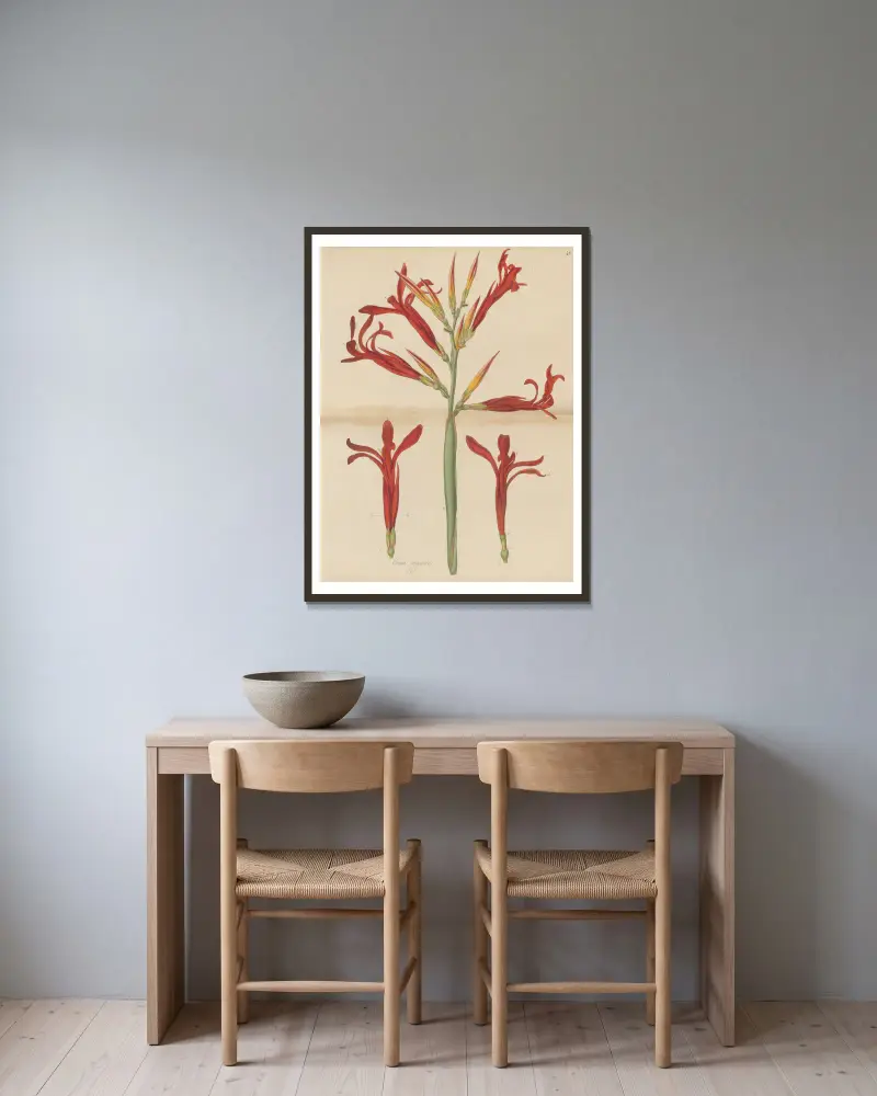Canna gigantea., 1823 – Nr. 1 von William Jackson Hooker gerahmt an einer Wand