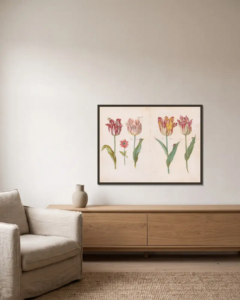 Sheet from a Tulip Book av Jacob Marrel inramad på en vägg