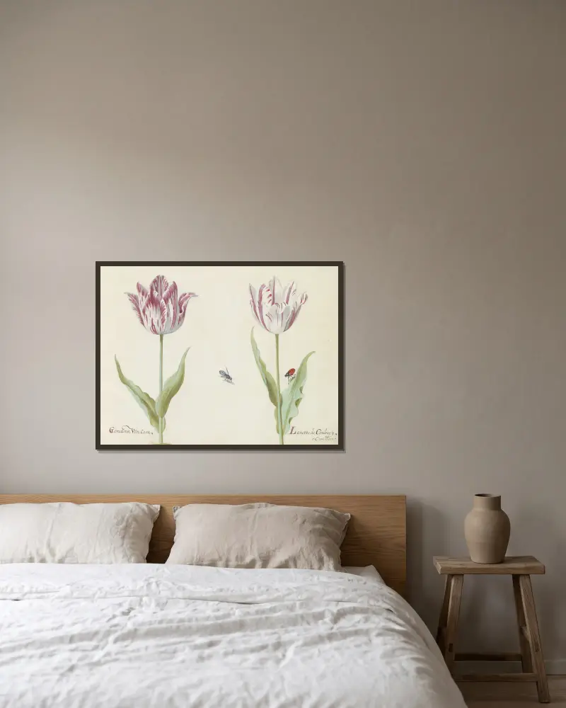 Zwei Tulpen mit Mücke und Käfer von Jacob Marrel gerahmt an einer Wand