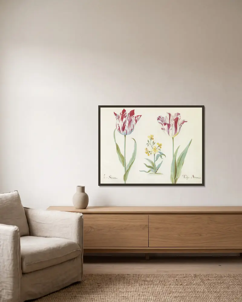 Två tulpaner med korsblommig växt av Jacob Marrel inramad på en vägg