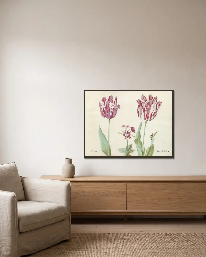 Zwei Tulpen mit Primula und Schnecke, Sepion Doncker Wolck von Jacob Marrel gerahmt an einer Wand
