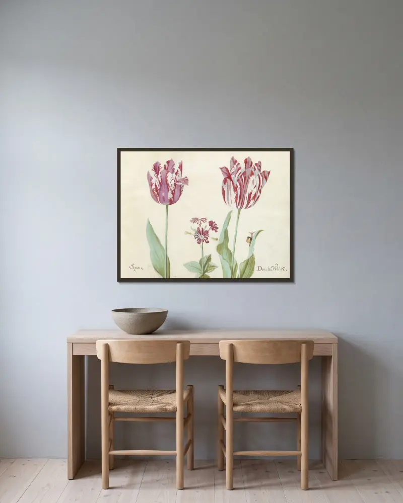 Zwei Tulpen mit Primula und Schnecke, Sepion Doncker Wolck von Jacob Marrel gerahmt an einer Wand