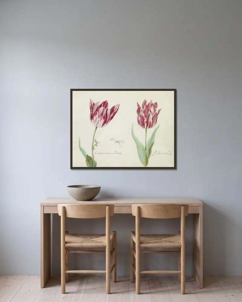 Zwei Tulpen mit Raupe und Wasserjungfer, karmesinrot mit Colonbijn von Polonburgh, genannt Admiral von Leiden von Jacob Marrel gerahmt an einer Wand