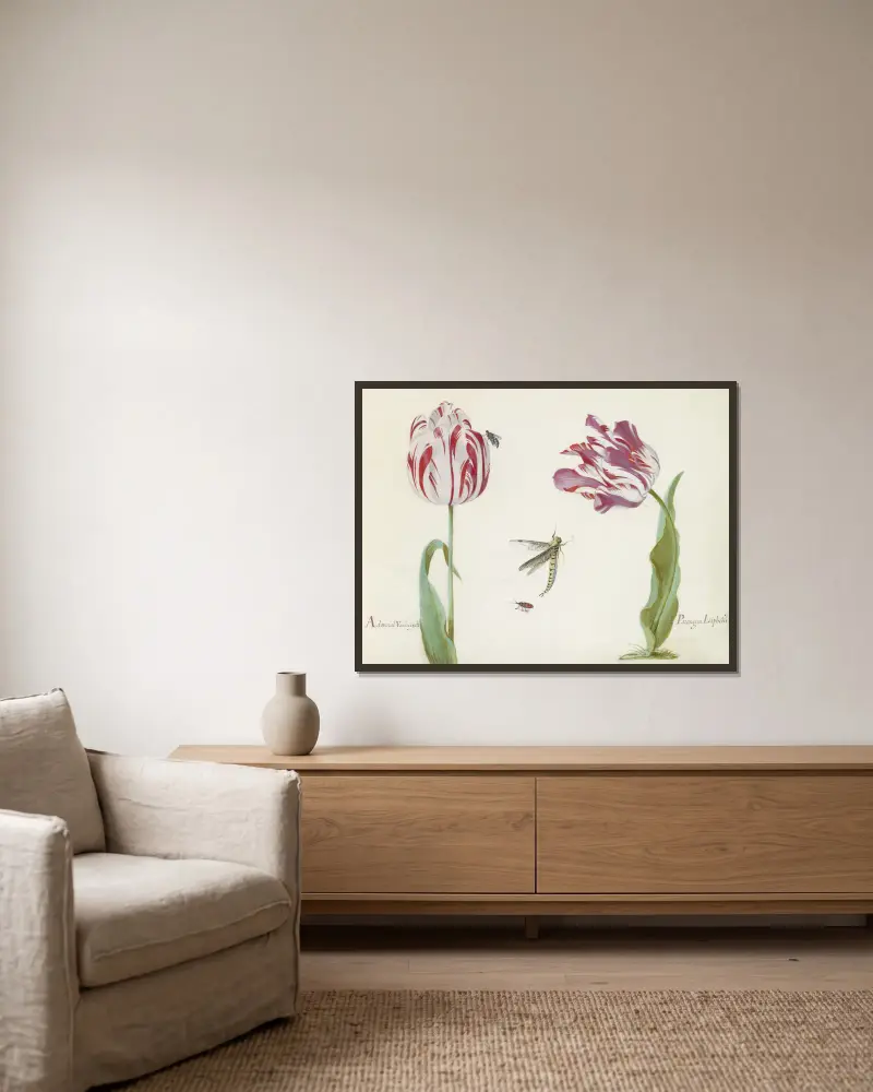 Zwei Tulpen mit Fliege, Libelle und Käfer von Jacob Marrel gerahmt an einer Wand