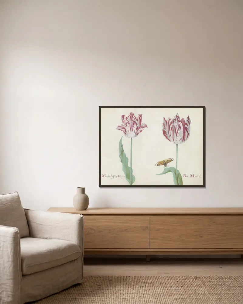 Zwei Tulpen mit Schmetterling, marmorierte Tulpe und prächtiger bunter Mantel von Jacob Marrel gerahmt an einer Wand
