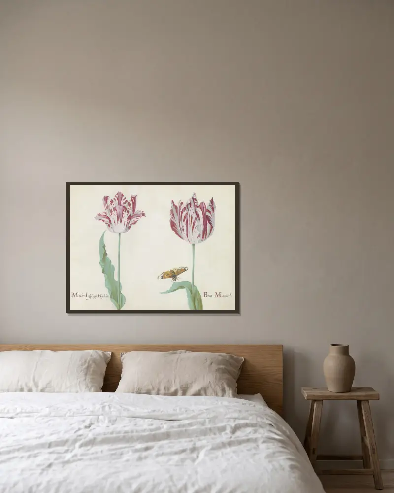 Zwei Tulpen mit Schmetterling, marmorierte Tulpe und prächtiger bunter Mantel von Jacob Marrel gerahmt an einer Wand