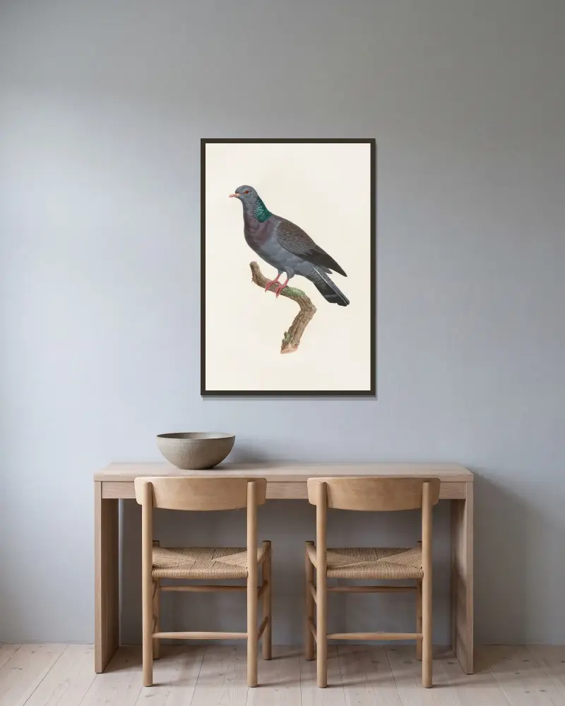 Les pigeons Pl.22 av Coenraad Jacob Temminck inramad på en vägg