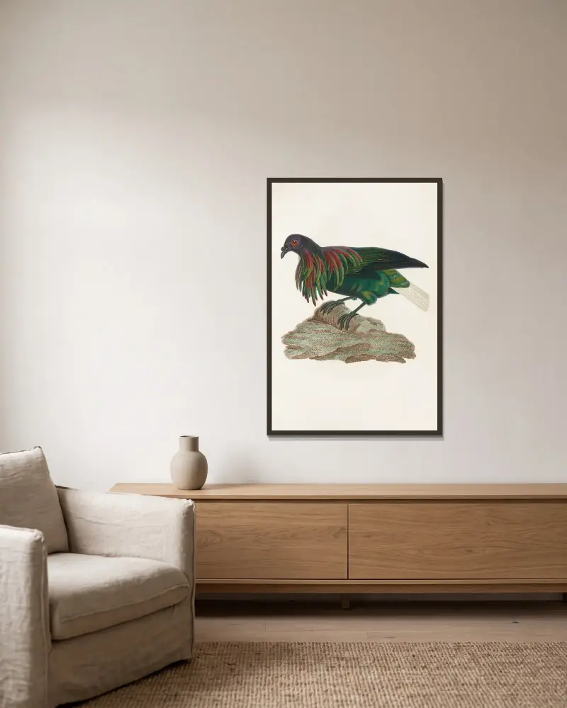 Les pigeons Pl.73 av Coenraad Jacob Temminck inramad på en vägg
