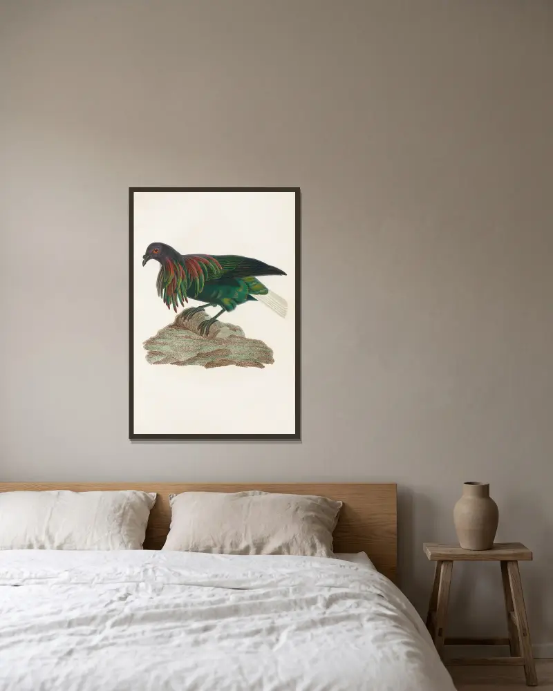 Les pigeons Pl.73 av Coenraad Jacob Temminck inramad på en vägg