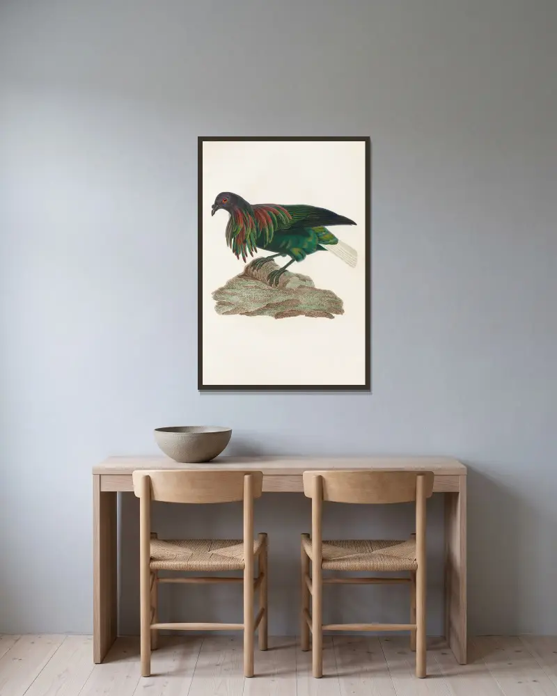 Les pigeons Pl.73 av Coenraad Jacob Temminck inramad på en vägg