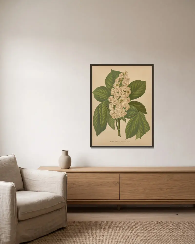 Aesculus Hippocastanem Flore Pleno av Abraham Jacobus Wendel inramad på en vägg
