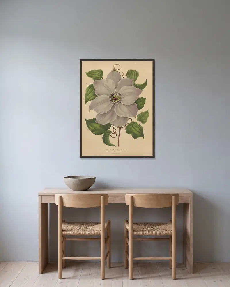 Clematis Hyb. Sieboldia av Abraham Jacobus Wendel inramad på en vägg