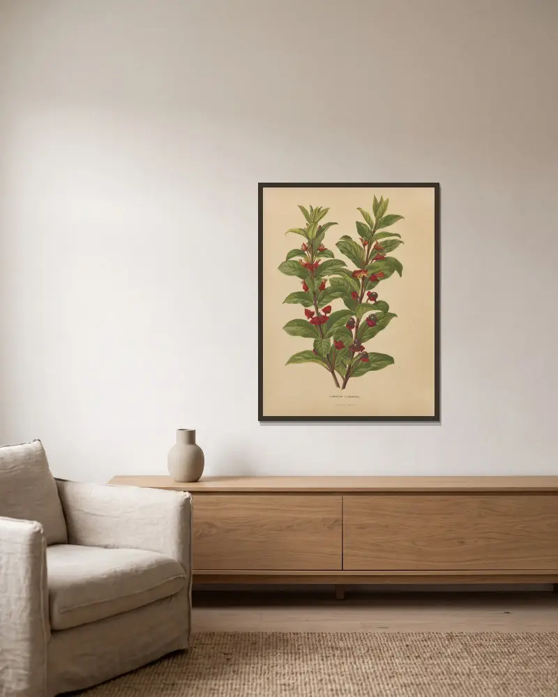 Lonicera Ledebouri av Abraham Jacobus Wendel inramad på en vägg