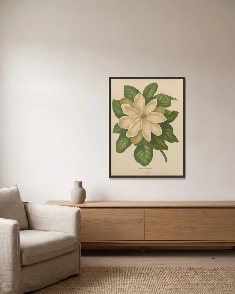 Magnolia Thompsoniana av Abraham Jacobus Wendel inramad på en vägg