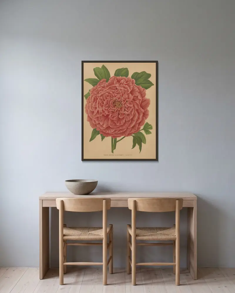 Paeonia Arborea Var. Elisabeth av Abraham Jacobus Wendel inramad på en vägg