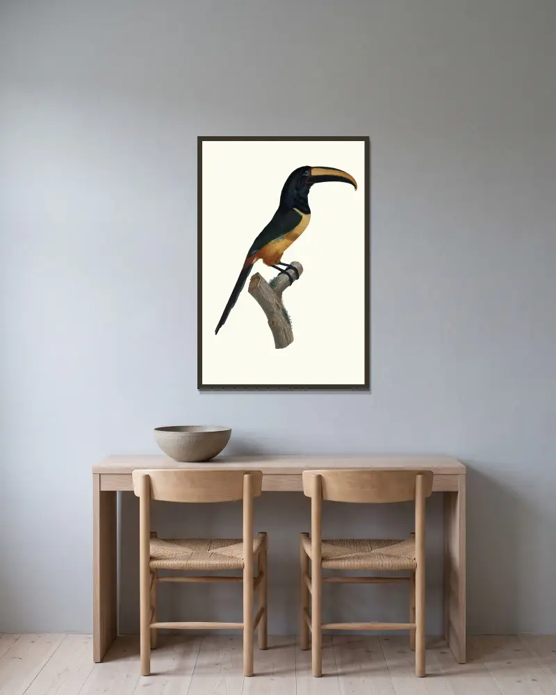 Der Aracari mit rotem Band in hohem Alter von Jacques Barraband gerahmt an einer Wand