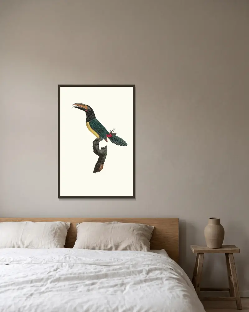 Grüner Aracari, Männchen von Jacques Barraband gerahmt an einer Wand
