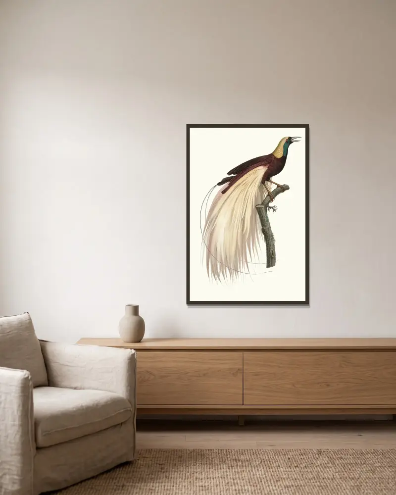 Der große Paradiesvogel, Smaragd, Männchen von Jacques Barraband gerahmt an einer Wand
