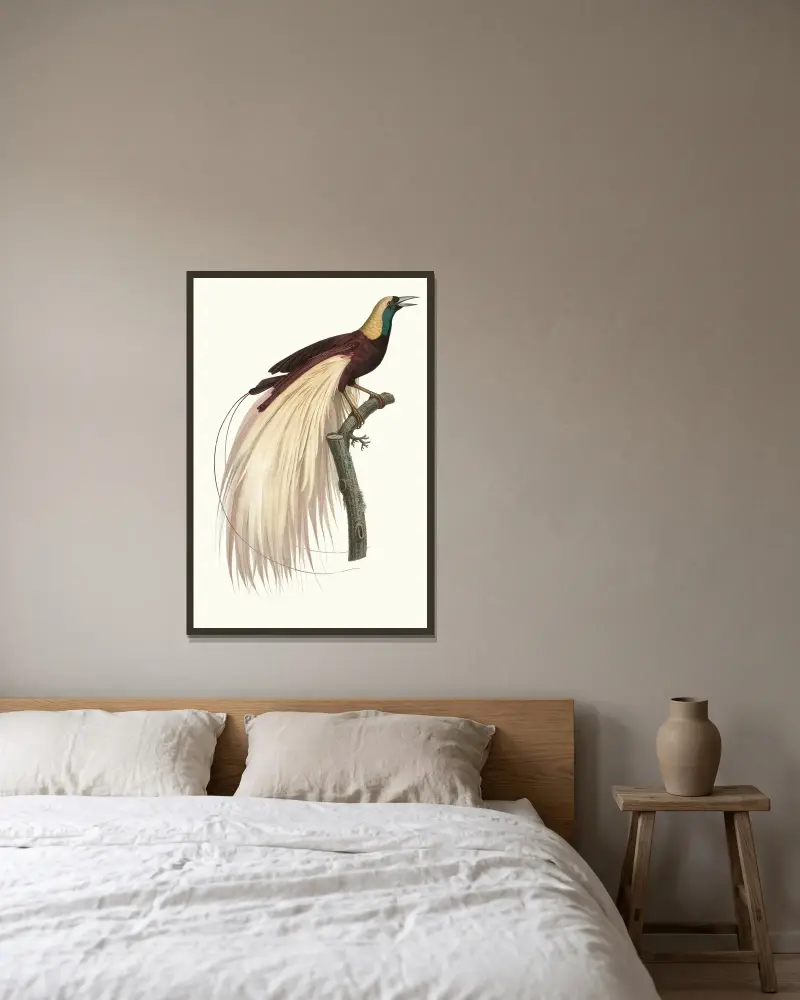 Der große Paradiesvogel, Smaragd, Männchen von Jacques Barraband gerahmt an einer Wand