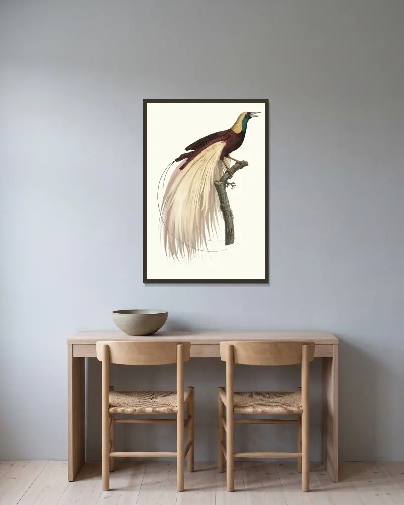 Der große Paradiesvogel, Smaragd, Männchen von Jacques Barraband gerahmt an einer Wand