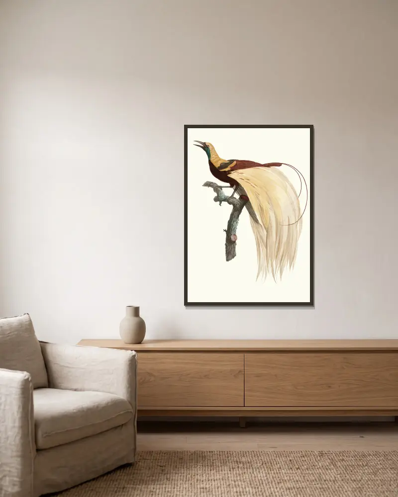 Der kleine Smaragd-Paradiesvogel, Männchen von Jacques Barraband gerahmt an einer Wand
