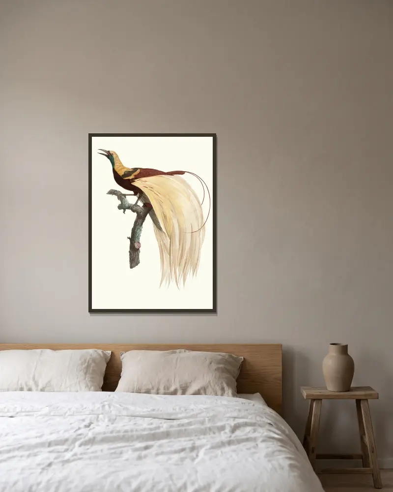 Der kleine Smaragd-Paradiesvogel, Männchen von Jacques Barraband gerahmt an einer Wand