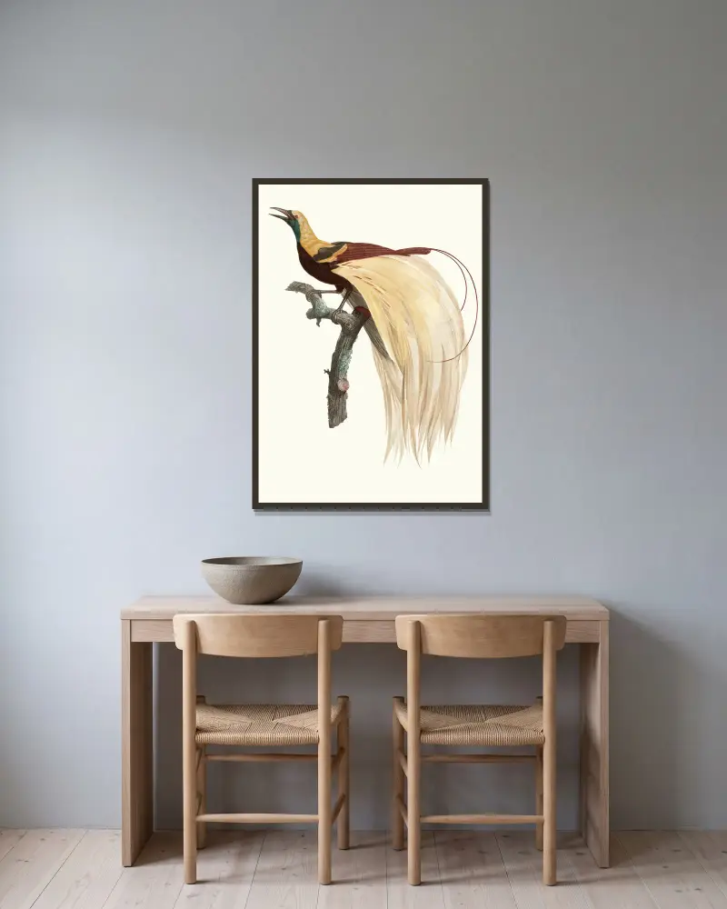 Der kleine Smaragd-Paradiesvogel, Männchen von Jacques Barraband gerahmt an einer Wand