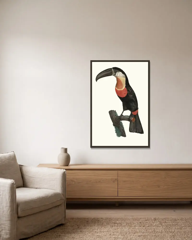 Le Pignancoin, Jacques Barraband v rámu na stěně