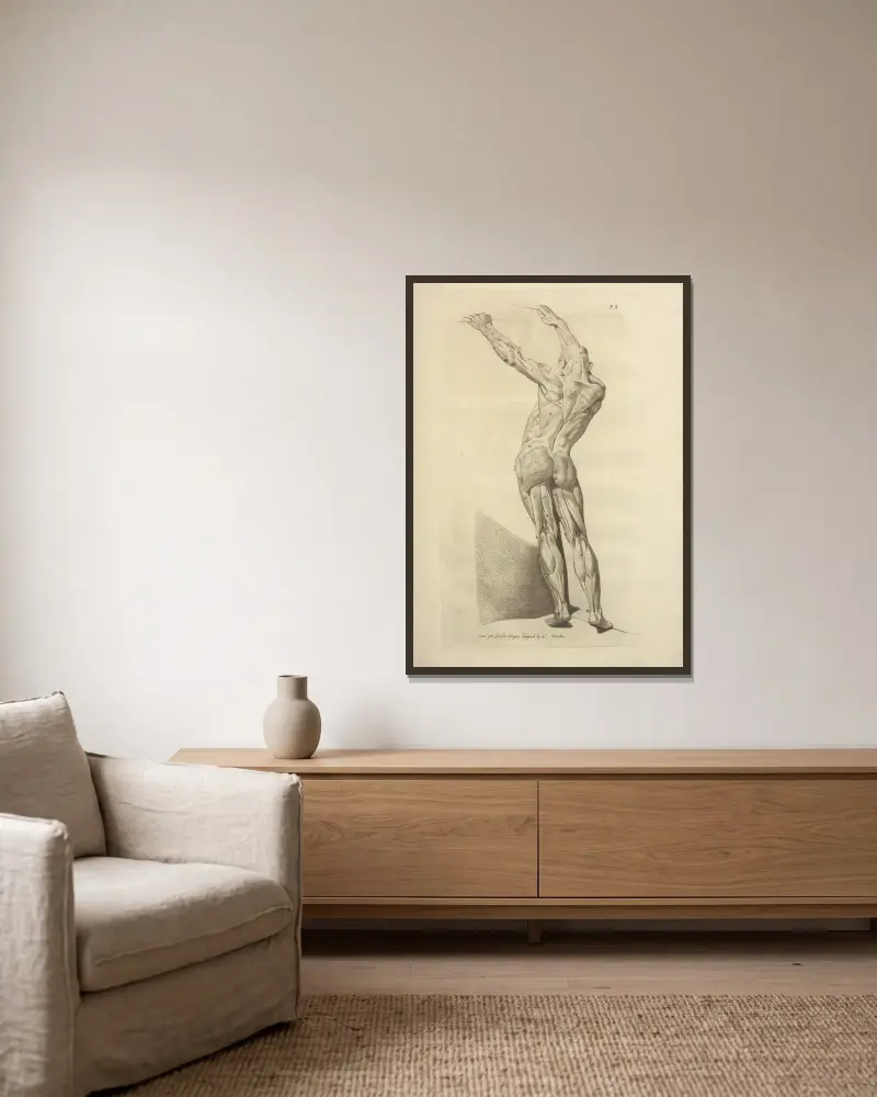 Neues Sammelwerk über Osteologie und Myologie, Taf. 49 von Jacques Gamelin gerahmt an einer Wand