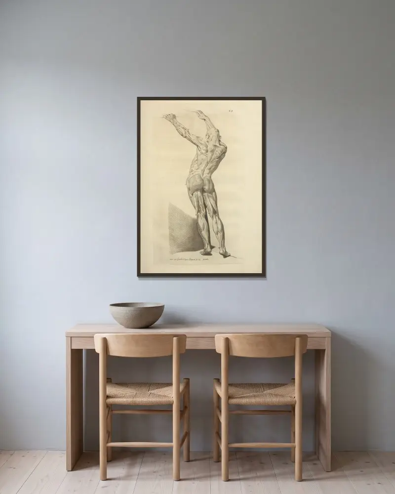 Neues Sammelwerk über Osteologie und Myologie, Taf. 49 von Jacques Gamelin gerahmt an einer Wand