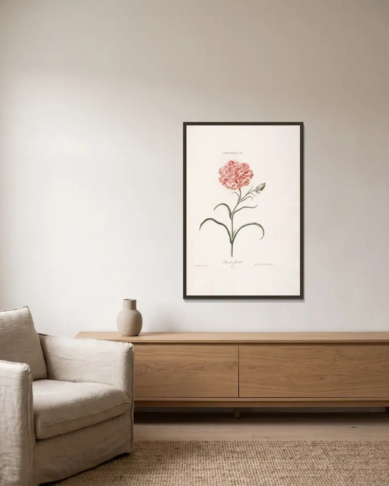 Caryophyllus XI. Phoenix florum, Christoph Jakob Trew v rámu na stěně