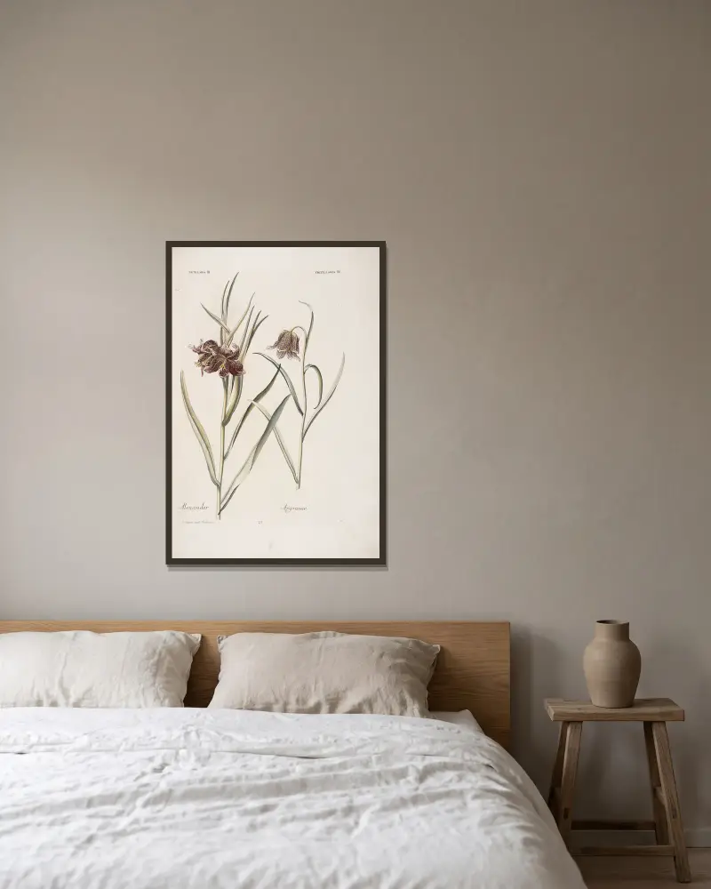 Fritillaria III et IV. Alexander. Asgraauw av Christoph Jakob Trew inramad på en vägg