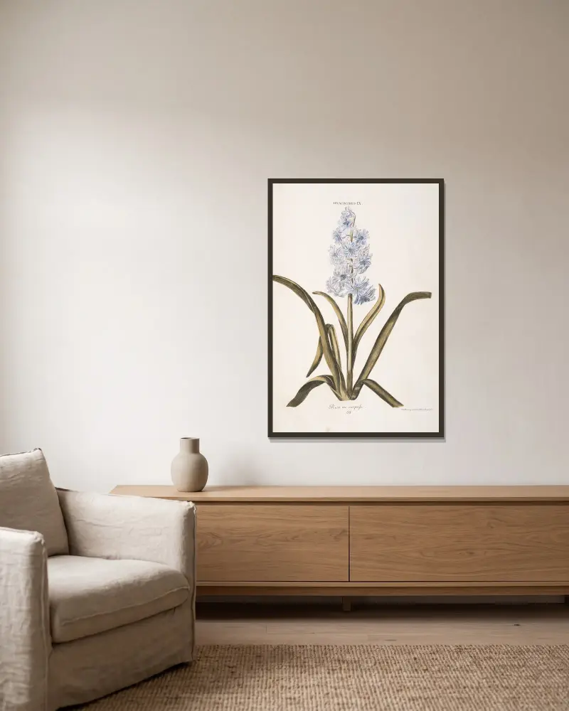 Hyacinthus IX. Rien me surpasse av Christoph Jakob Trew inramad på en vägg