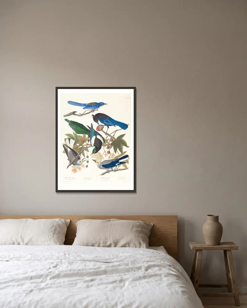 1. Gulsnäbbad skata. 2. Stellerskrika. 3. Ultramarinskrika. 4, 5. Clarks nötkråka av John James Audubon inramad på en vägg