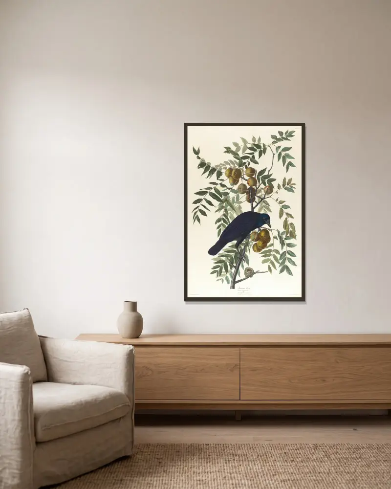 American crow av John James Audubon inramad på en vägg
