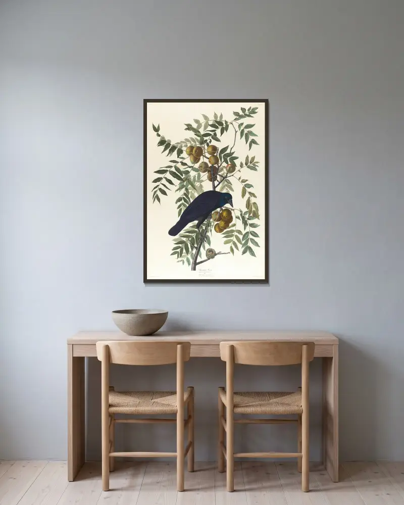 American crow av John James Audubon inramad på en vägg