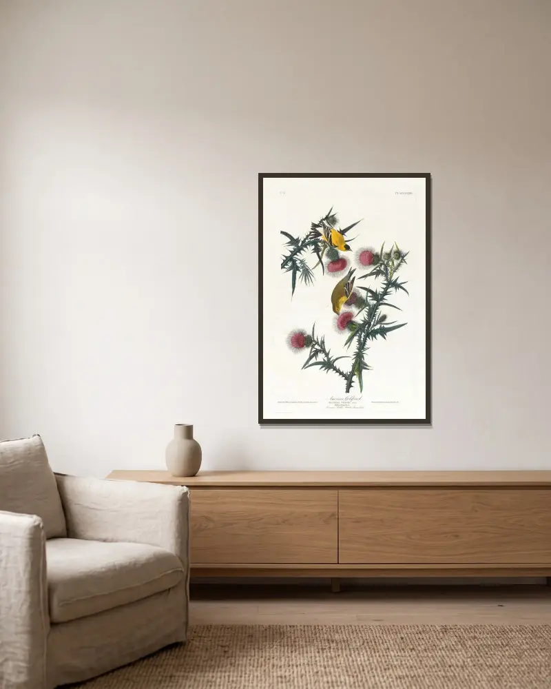 American goldfinch av John James Audubon inramad på en vägg