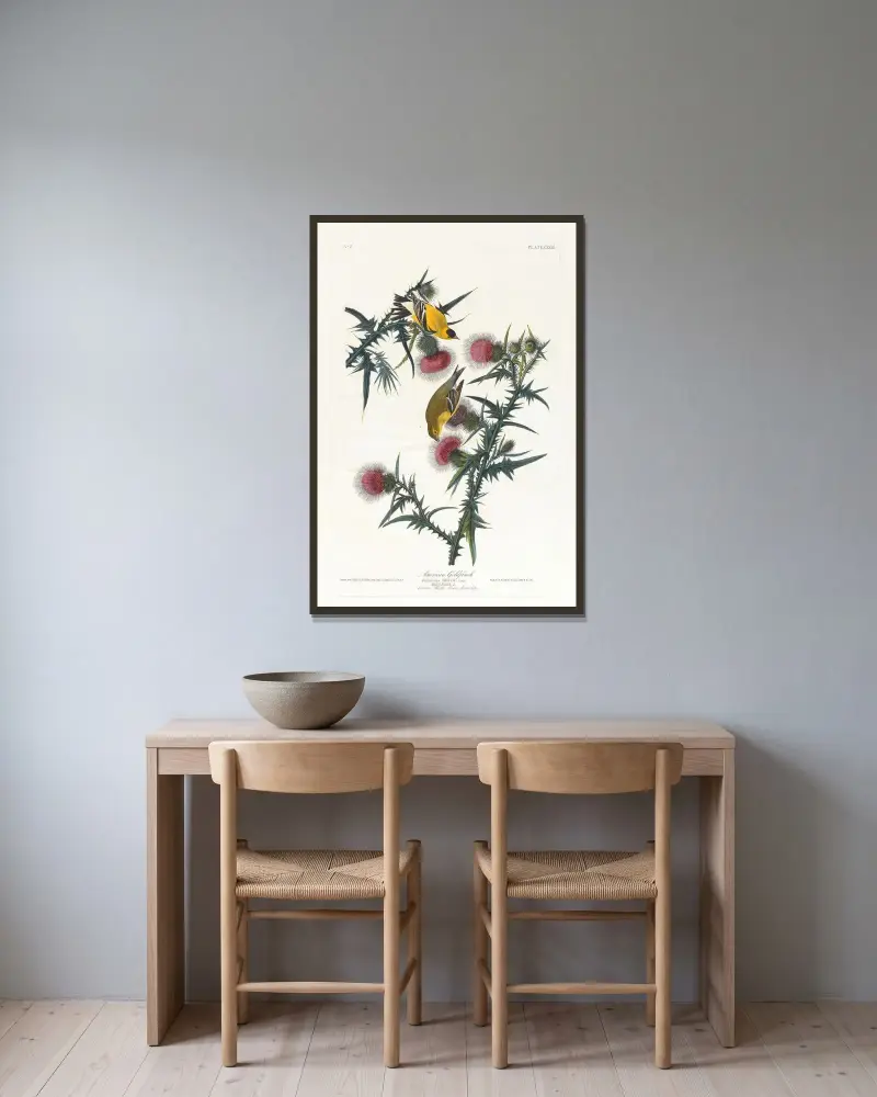 American goldfinch av John James Audubon inramad på en vägg