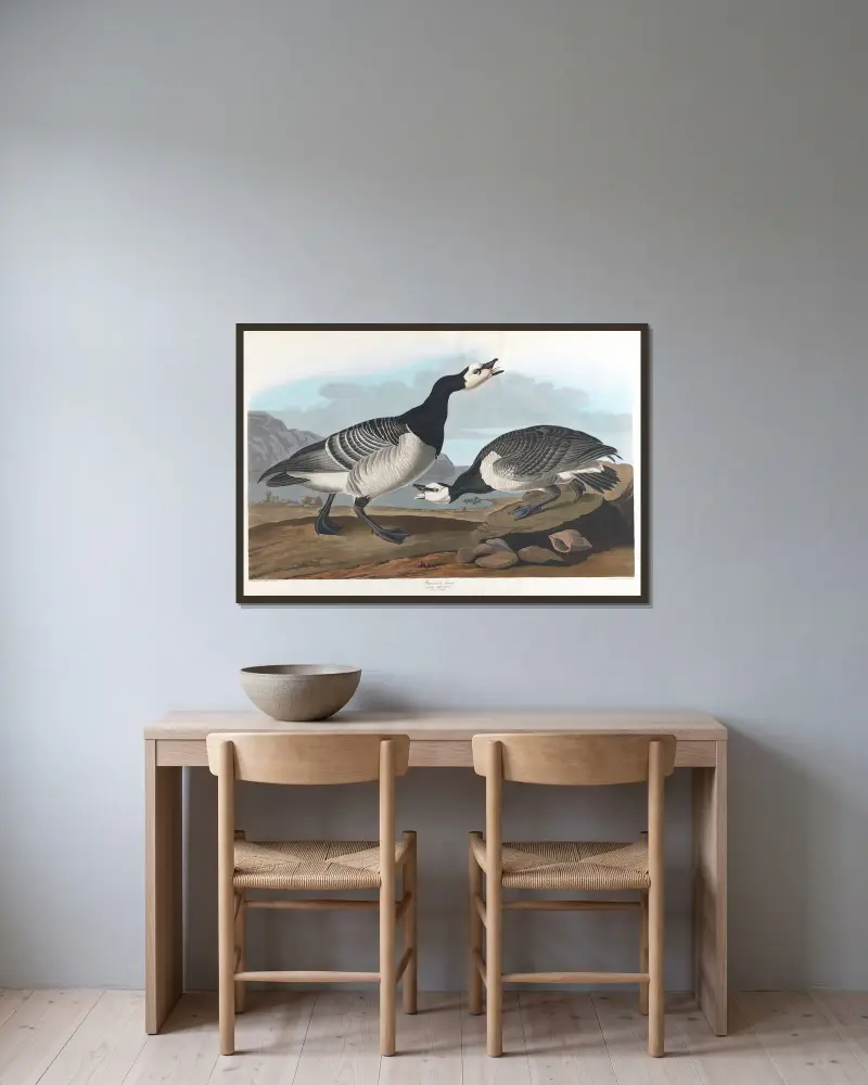 Weißwangengans, 1827 – Nr. 1 von John James Audubon gerahmt an einer Wand